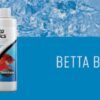 BETTA BASICS 60ML - SEACHEM