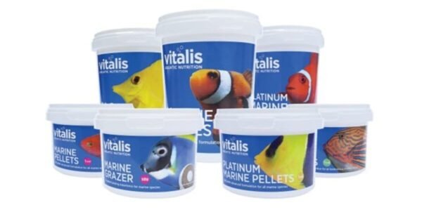 1726b6410fe91b7e437d18d5d700260e.jpg Vitalis Marine Flakes 40g Ração Flocos Para Peixes Marinhos