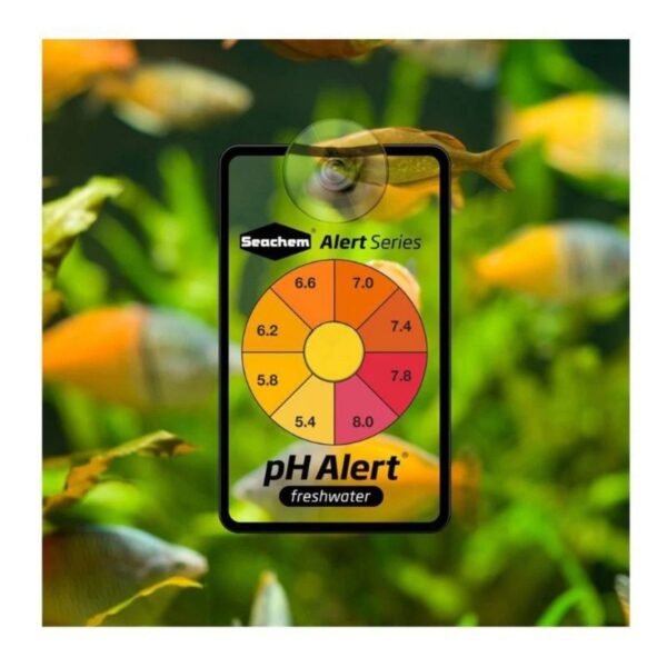 Seachem One Year Combo Ammonia e PH Alert