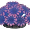 1c6003e4c3ce51743ced1ca7d931b44b.jpg ENFEITE DE SILICONE SOMA CORAL ALVEOPORA AZUL 02