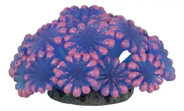 1c6003e4c3ce51743ced1ca7d931b44b.jpg ENFEITE DE SILICONE SOMA CORAL ALVEOPORA AZUL 02