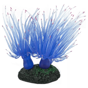 1d06c3373353c79c226d2fc29359d529.png ENFEITE DE SILICONE SOMA ANEMONA LONG TENTACLE AZUL - MULTI
