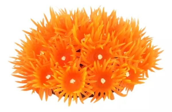 27632bddfb433dac2dd3e87b961da6a1.jpg ENFEITE DE SILICONE SOMA CORAL GONIOPORA VERMELHA