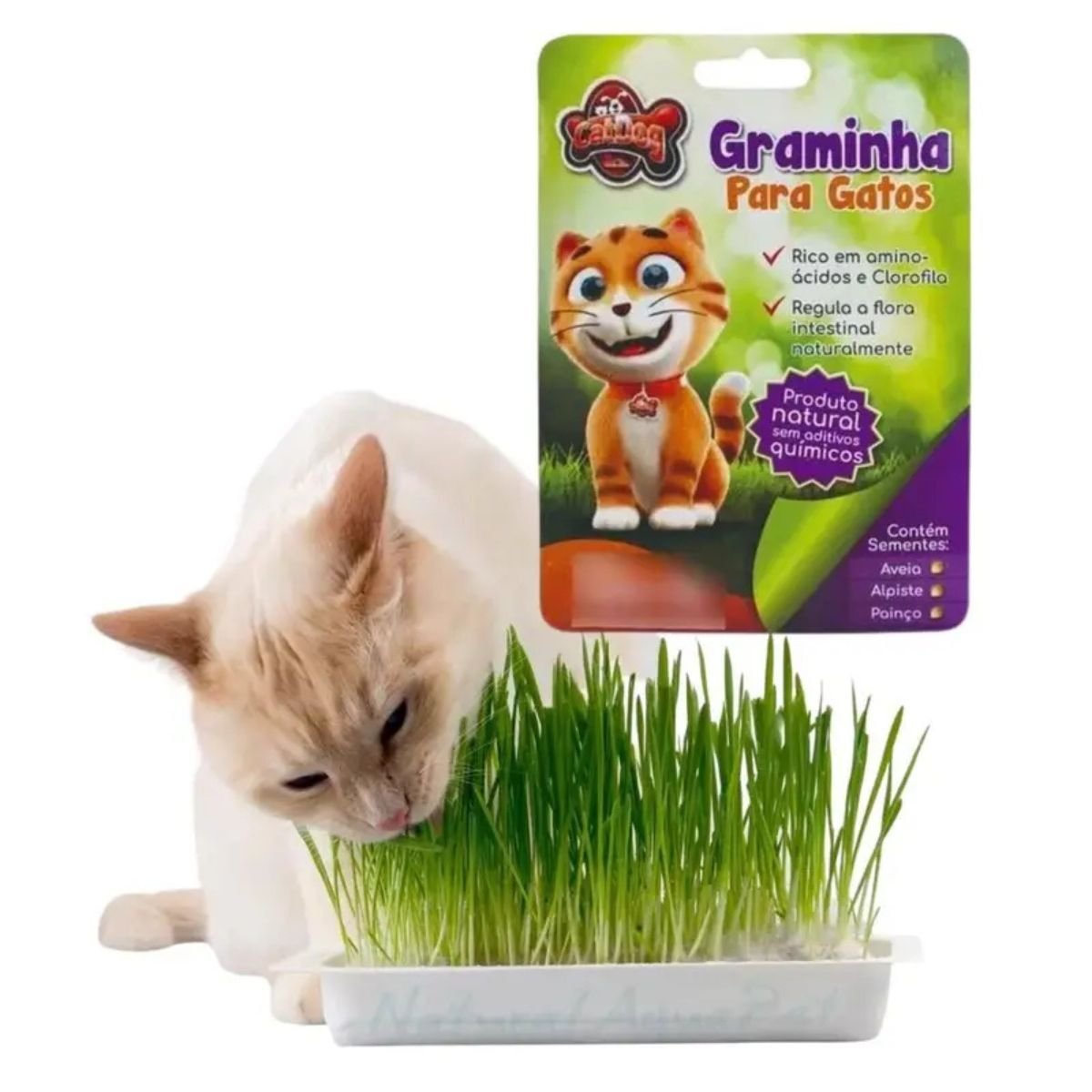 Produto