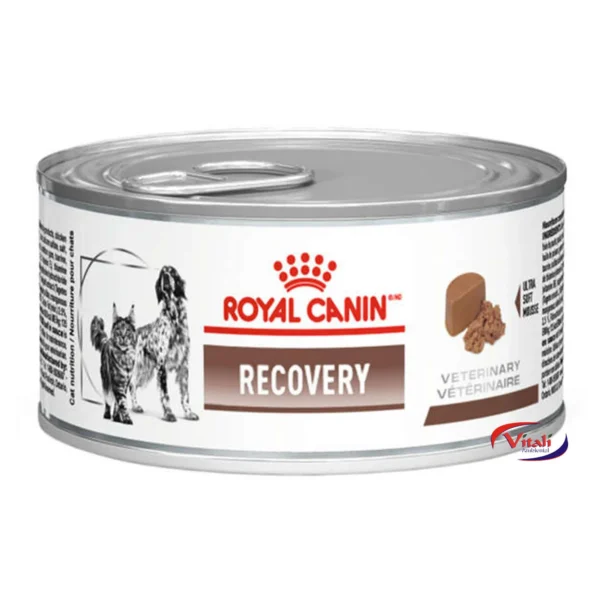3a84b58f52bc8228310b43aabdba506d.webp Royal Canin Recovery Cão E Gato 195g