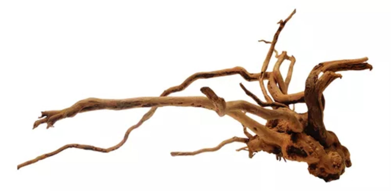 RAIZ NATURAL D-ROOT 20-30CM KG - DINHOS REEF ANIMAL 1KG
