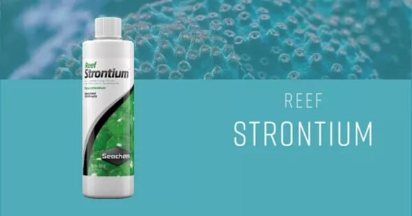 REEF ADVANTAGE STRONTIUM 70G - SEACHEM