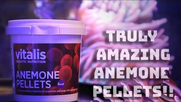 730f876af0fe91d7981c26e84e7acb45.jpg Ração Vitalis Anemone Pellets 60gr 4mm Aquatic Nutr Anemonas