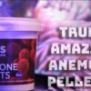 7b4c76e33f42e328f51f6d41db375e36.jpg Ração Vitalis Anemone Pellets 60gr 4mm Aquatic Nutr Anemonas