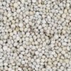 Semente Perila Branca - 500 G - Canto Fertilidade