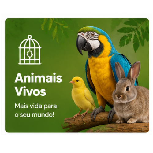 Animais vivos JAPONES RED BLACK TELESCOPIO