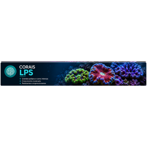 Leptoseries Janson fox