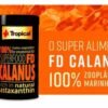 D-NQ-NP-939569-MLU70044742718-062023-O.jpg FD CALANUS 12G - TROPICAL RAÇÃO PARA PEIXES E CORAIS
