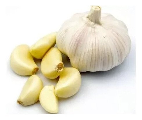 D_770327-MLB75751660163_042024-O.jpg Tetra Colorbits Grânulos - 375g + Seachem Garlic Guard 100ml
