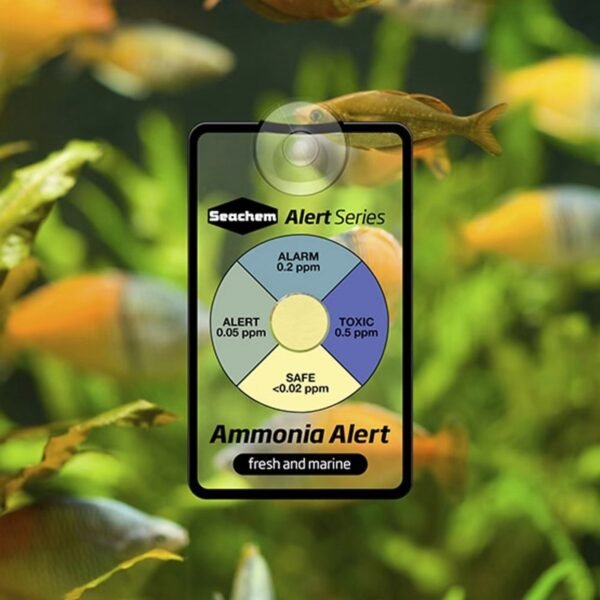 Seachem One Year Combo Ammonia e PH Alert