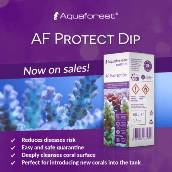 bcd1fb613792944b843c977dd0a7f111.png AF PROTECT DIP - 50 ML