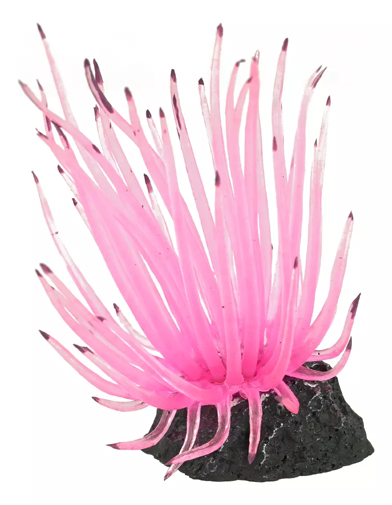 ENFEITE DE SILICONE SOMA ANEMONA LONG TENTACLE ROSA
