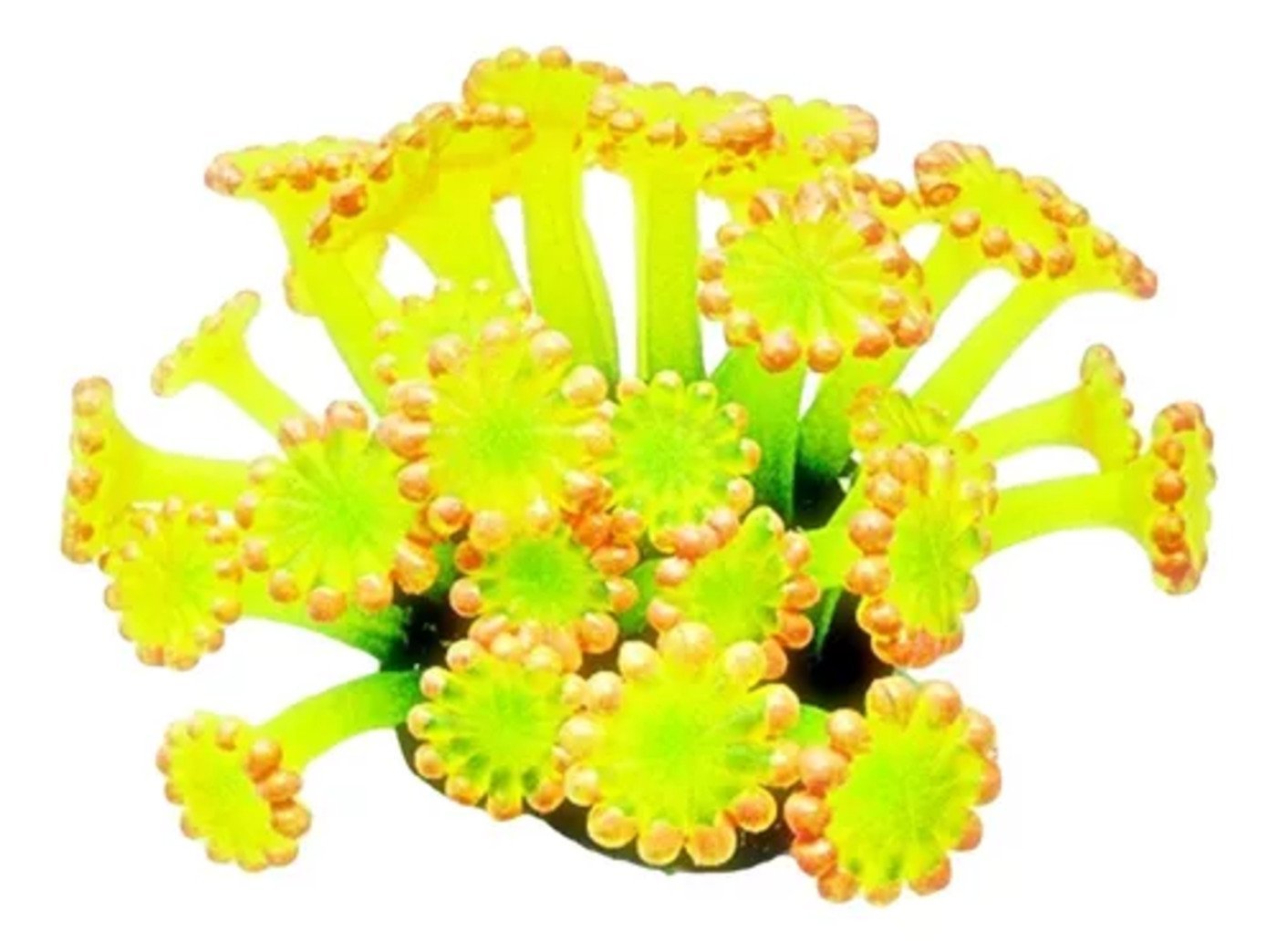 ENFEITE DE SILICONE SOMA CORAL ALVEOPORA AMARELA 04