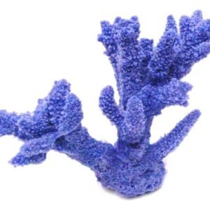 cf9c5882e53831c01fde9da5269f2af6.jpg ENFEITE DE SILICONE SOMA CORAL ACROPORA STAG HORN ROXO