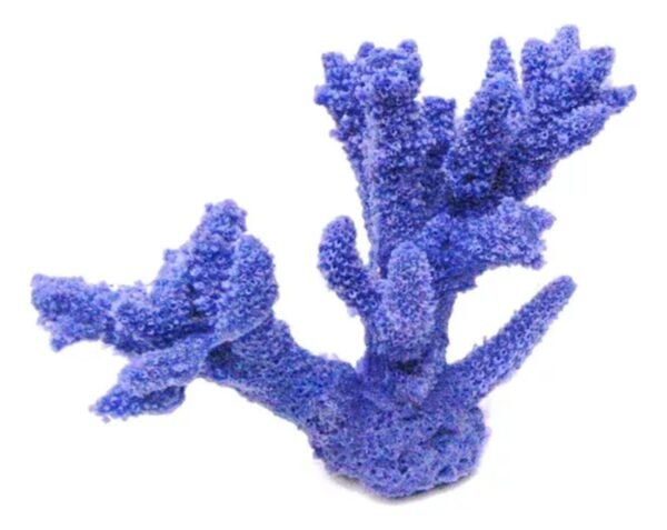 cf9c5882e53831c01fde9da5269f2af6.jpg ENFEITE DE SILICONE SOMA CORAL ACROPORA STAG HORN ROXO