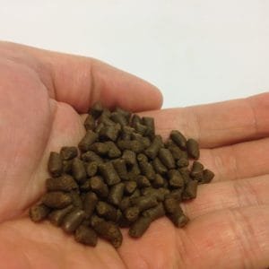 df74341faf661fc0d97b06557dcefa6b.jpg Ração Vitalis Anemone Pellets 60gr 4mm Aquatic Nutr Anemonas