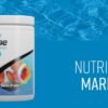 fdd635d2ba45638d43b44d2a908181c6.jpeg Ração Seachem Nutridiet Marine 100g Para Peixes Marinho