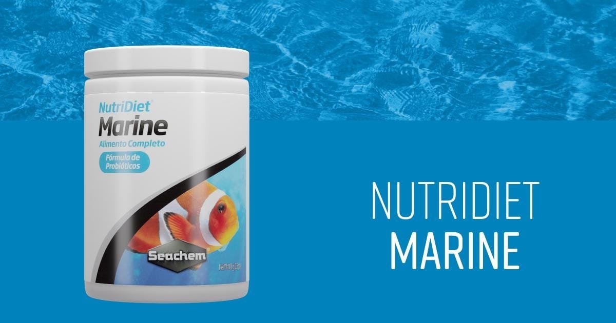 fdd635d2ba45638d43b44d2a908181c6.jpeg Ração Seachem Nutridiet Marine 100g Para Peixes Marinho