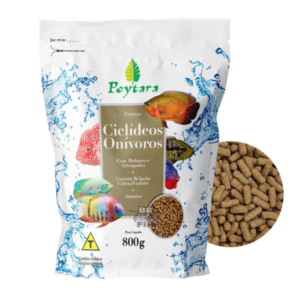 POYTARA CICLIDEOS ONIVOROS SACO 800GR
