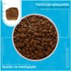 Ração Seca Fórmula Natural Fresh Meat Cães Adultos Raças Médias 2,5KG