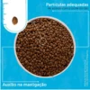 Formula Natural  Fresh Meat Cães  Adultos Mini/peq 10,1kg